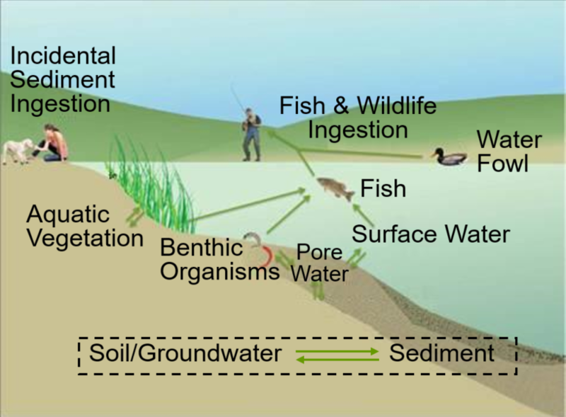 File:Ghosh1w2Fig1.png