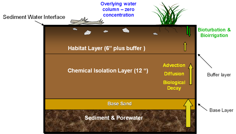 File:SedCapFig2.png