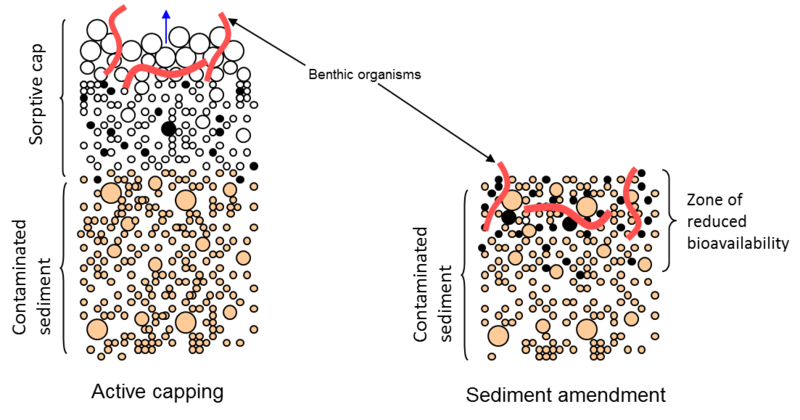 File:Ghosh2w2Fig1.png