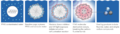 Thumbnail for version as of 17:48, 8 May 2024