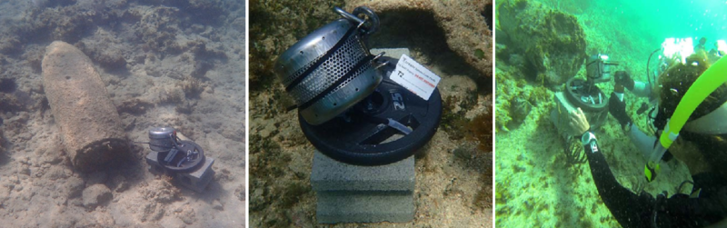 File:Lotufo1w2Fig13.png