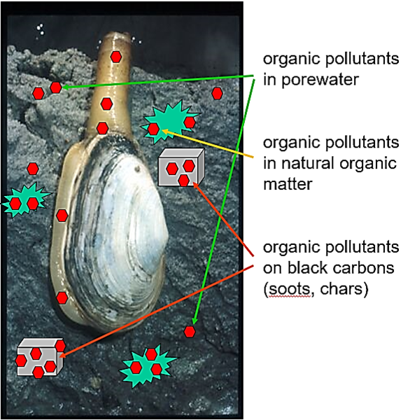 File:Gschwend1w2fig1.png
