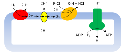 Freedman Article 1 Figure 6.PNG