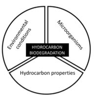 Edwards Article 1-figure 1.PNG