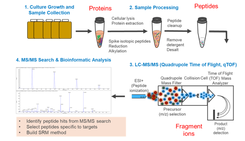 File:ProteomicsFig2.png