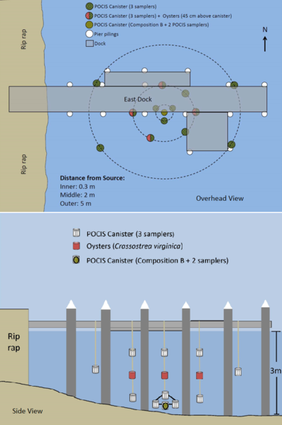 File:Lotufo1w2Fig9.png