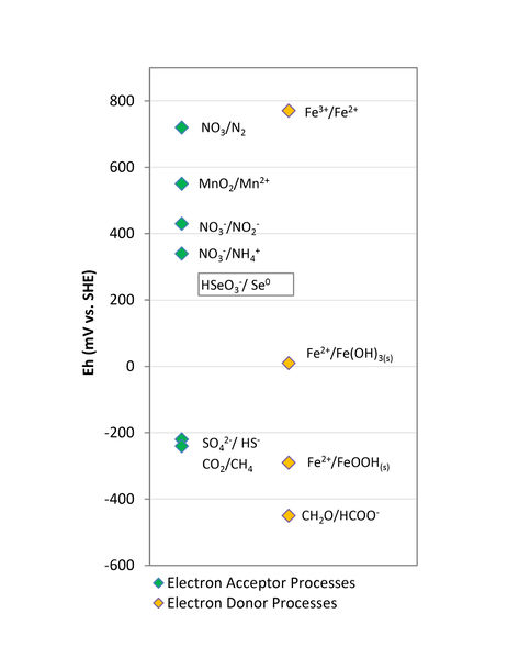 File:MacKinnon AnBiorem Fig1.jpg