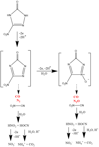 File:ChaplinFig3.png