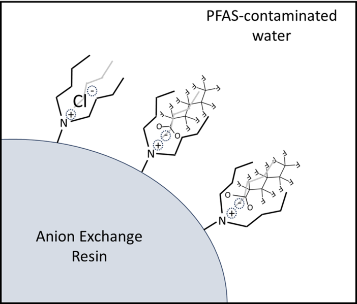 File:StrathmannFig1.png