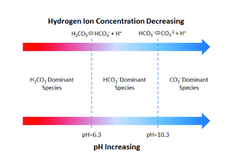 File:Denham pH buffering Fig1.jpg