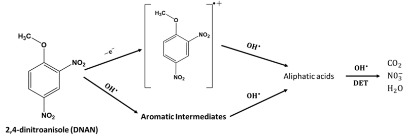 File:ChaplinFig4.png