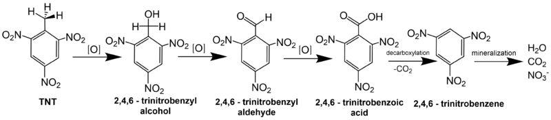 File:ChaplinFig5.png