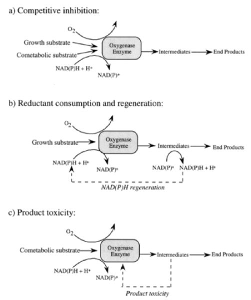 File:Chu-Article1-Figure1.jpg